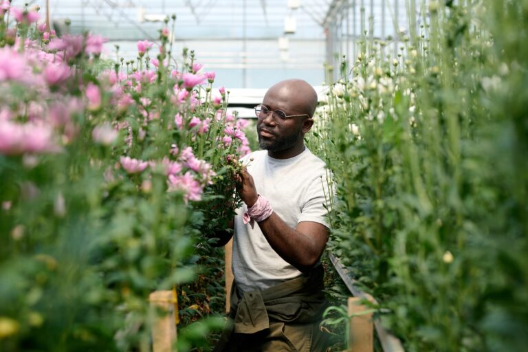 Gardener Caring for Flowers in Plantation